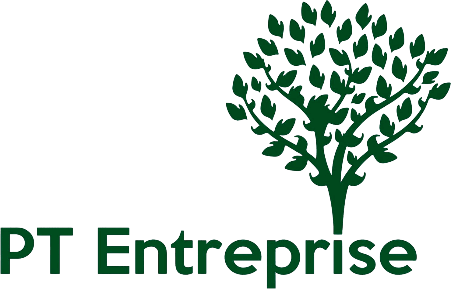 PT Entreprise